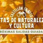 Próximas salidas y rutas de naturaleza y cultura por Castellón