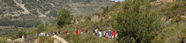 Día del árbol en la Serra d’En Galceran