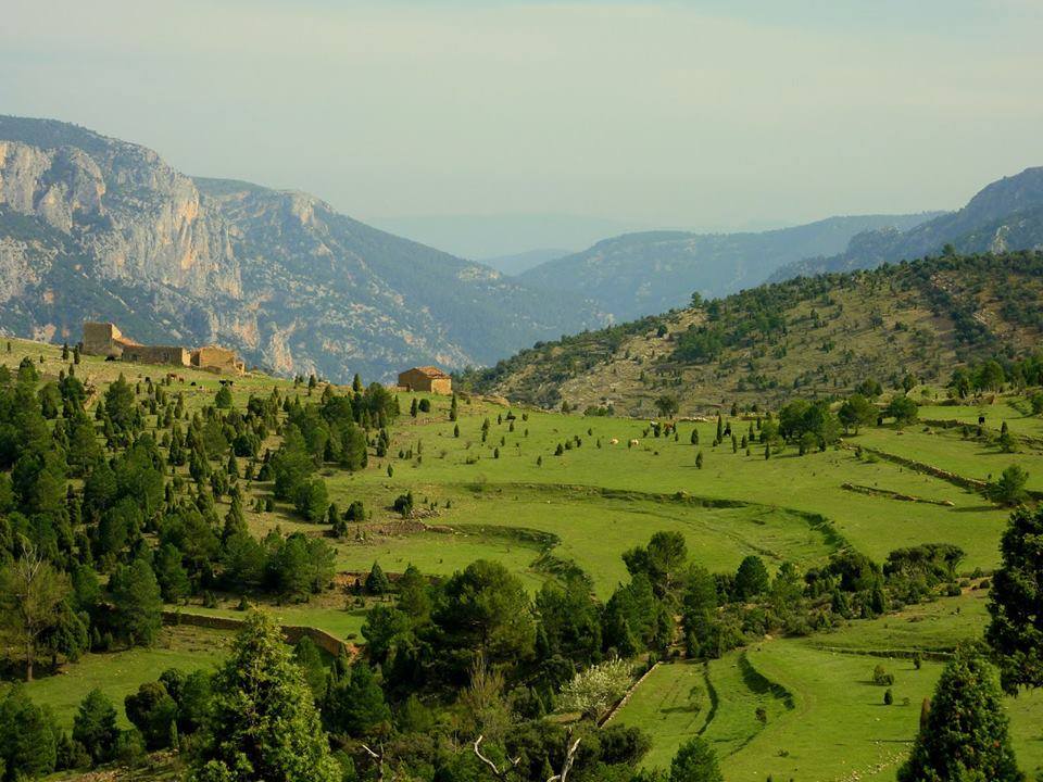 Mas de campos junto al riu Montlleó, comarca L'Alcalatén. Autor David Hornero