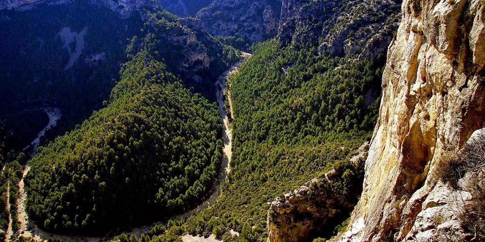 Rambla Sellumbres Castellón Ruta Naturaleza familia Valencia senderismo 1