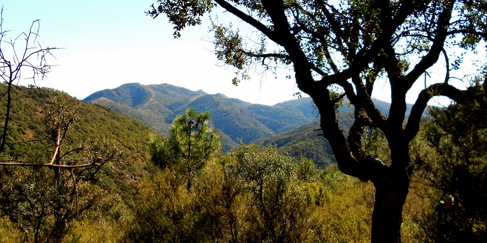 Sierra de Espadán Gaibiel