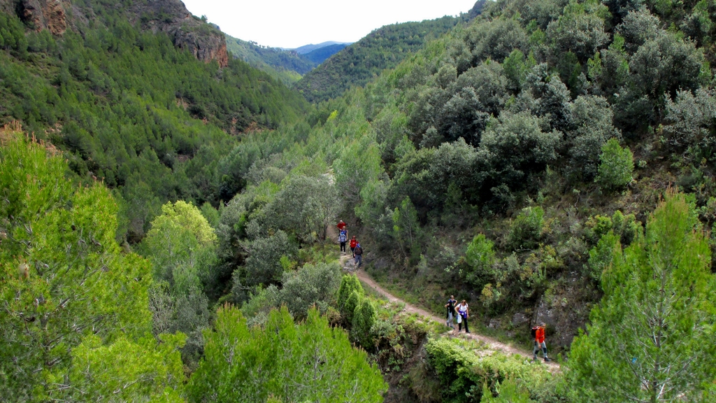 Senderos de Sierra de Espadán. Autor, Manel