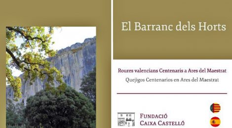 El Barranc dels Horts, roures valencians centenaris a Ares del Maestrat