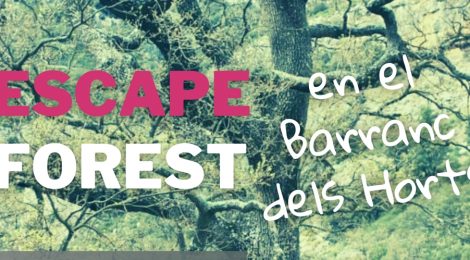 Escape forest barranc horts