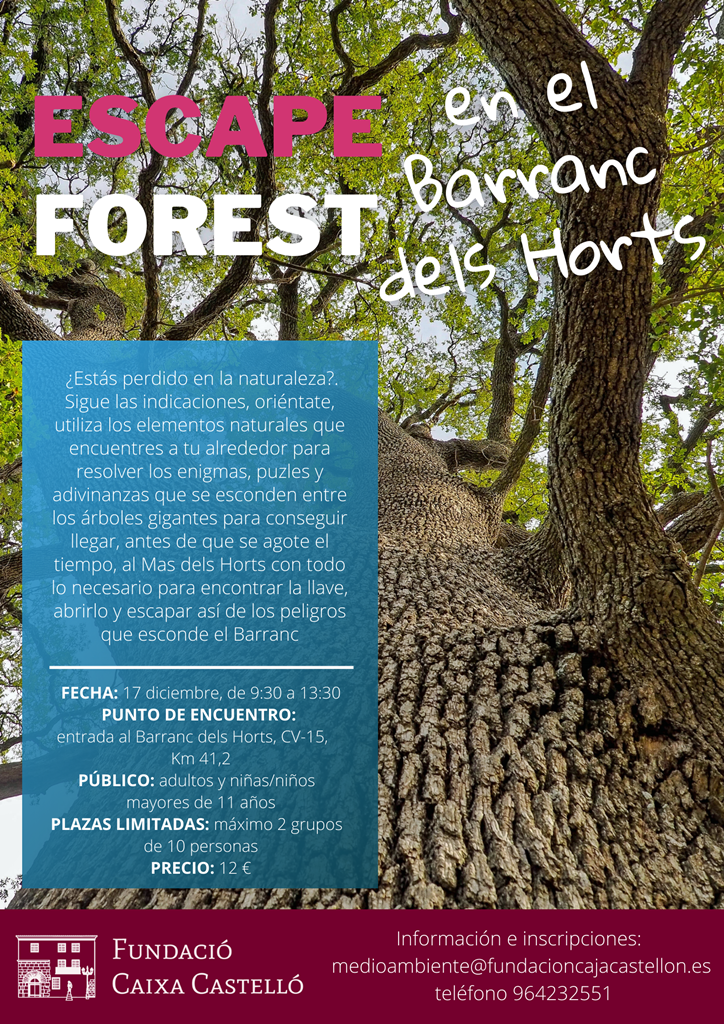 escape forest Barran Horts ares maestrat