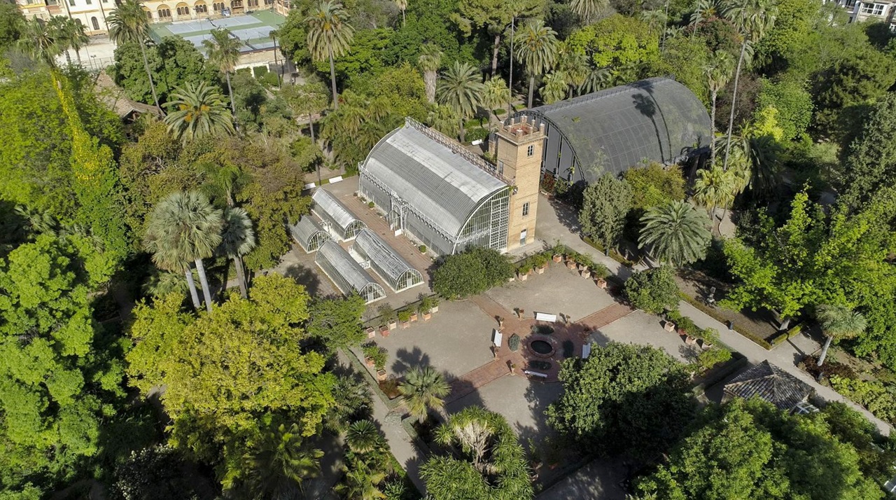 jardi botanic universitat valencia