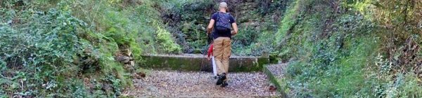 Eslida: ruta por la fuente de Matilde-El Bosque Habitado-fuente de Castro y taller de cata de mieles