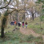 Benassal: ruta del agua (els dominis de Neptú) y Mercado gastronómico de la avellana