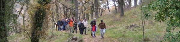 Benassal: ruta del agua (els dominis de Neptú) y Mercado gastronómico de la avellana