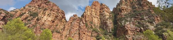 Artana: ruta de los olivos monumentales y mirador de Les Penyes Altes