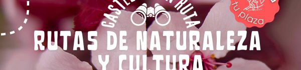 Próximas salidas y rutas de naturaleza y cultura por Castellón